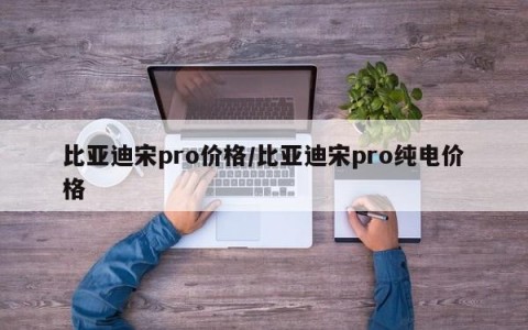比亚迪宋pro价格/比亚迪宋pro纯电价格