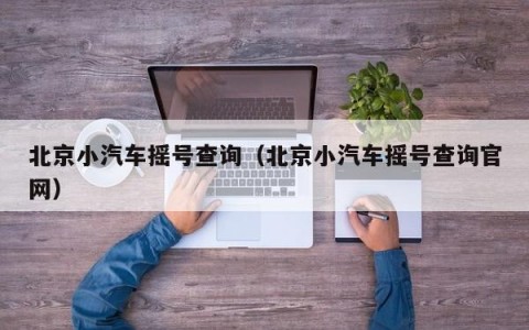 北京小汽车摇号查询（北京小汽车摇号查询官网）